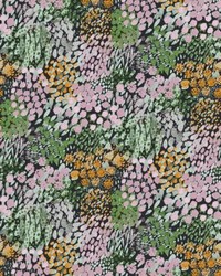 Kukkameri Onyx Multi by   