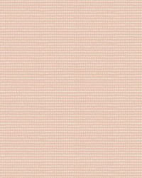 Mini Raysmatto Posey by   