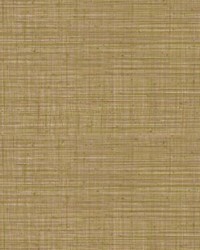 Tierra Prickly Pear by   