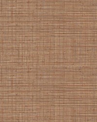 Tierra Terracotta by   