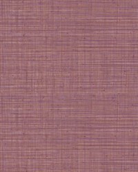 Tierra Paradise Pink by   