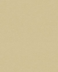 Petits Points Latte by   