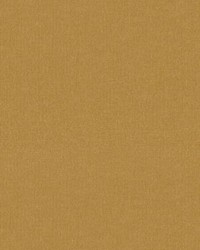 Petits Points Mushroom by   