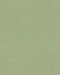 Petits Points Sage by   