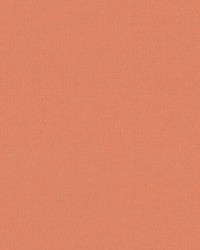 Petits Points Rose by   