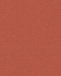 Petits Points Raspberry by   