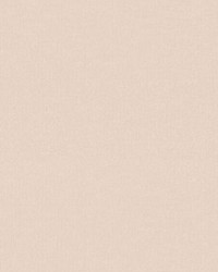 Petits Points Ballet Slipper by   