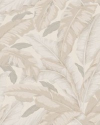 Banane Limestone by  Scalamandre Wallcoverings 