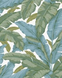 Banane Cobalt And Khaki by  Scalamandre Wallcoverings 