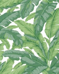 Banane Jungle by  Scalamandre Wallcoverings 