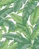 Scalamandre Wallcoverings BANANE JUNGLE