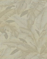 Banane Grasscloth Dune by   