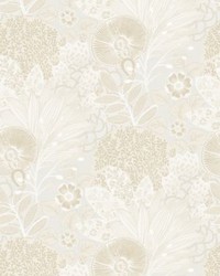 Lithops Oyster by  Scalamandre Wallcoverings 