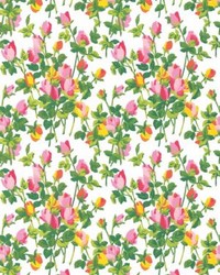 Roseraie Garden Multi by  Scalamandre Wallcoverings 