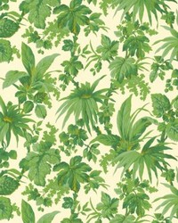 Tropical Grande Corniche Jungle by   