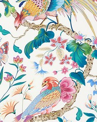 Botany Bay  Wallcovering Perennial Garden by   