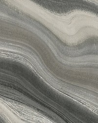 Paria Canyon Graphite by  Scalamandre Wallcoverings 