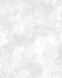 Clouds Frost by  Scalamandre Wallcoverings 