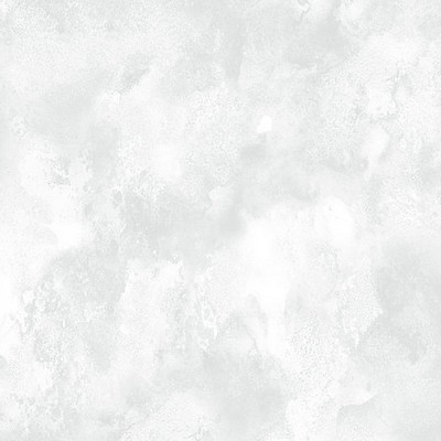 Scalamandre Wallcoverings Clouds Frost WMAST100915 Grey 