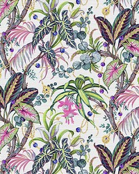 Amazonia Pompadour by   