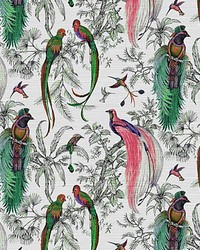 Audubon Exotica Persimmon by  Scalamandre Wallcoverings 