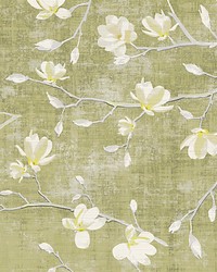 Bloom Wheat by  Scalamandre Wallcoverings 