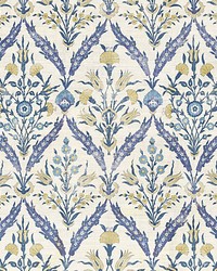 Pomegranate Tulip Classic by   