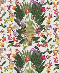 Fantasy Tropical White by  Scalamandre Wallcoverings 
