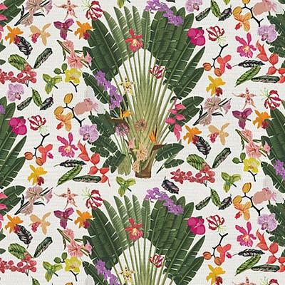 Scalamandre Wallcoverings Fantasy Tropical White WNM0001TROP Grey  Tropical Floral Wallpaper Tropical Wallpaper 