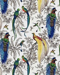 Audubon Exotica Tropical by  Scalamandre Wallcoverings 