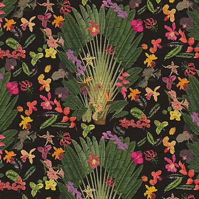 Scalamandre Wallcoverings Fantasy Tropical Black WNM0002TROP Grey  Tropical Floral Wallpaper Tropical Wallpaper 