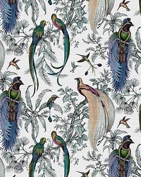 Audubon Exotica Blue Green Multi by  Scalamandre Wallcoverings 