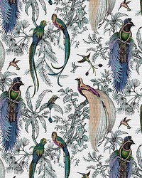 Audubon Exotica Blue Green Multi by   