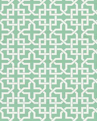 Infinity Life by  Scalamandre Wallcoverings 