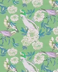 Peony Inspira Tropical by  Scalamandre Wallcoverings 