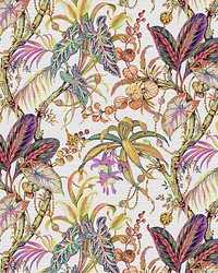 Amazonia Splendor by   