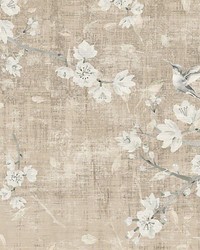 Blossom Fantasia French Gray by  Scalamandre Wallcoverings 