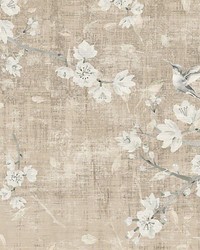 Blossom Fantasia French Gray by  Kravet Wallcovering 