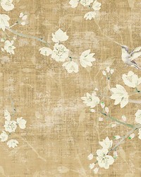 Blossom Fantasia Gold by  Scalamandre Wallcoverings 