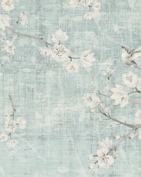Blossom Fantasia Sky by  Kravet Wallcovering 