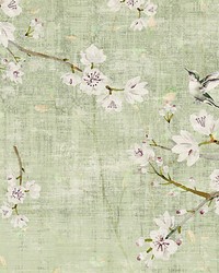 Blossom Fantasia Celadon by  Scalamandre Wallcoverings 