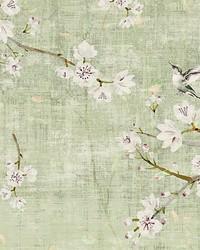 Blossom Fantasia Celadon by  Kravet Wallcovering 