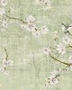 Scalamandre Wallcoverings BLOSSOM FANTASIA CELADON
