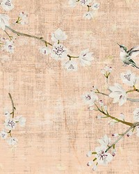 Blossom Fantasia Romance by  Scalamandre Wallcoverings 