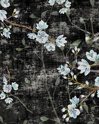 Blossom Fantasia Black Blue by  Kravet Wallcovering 
