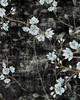 Scalamandre Wallcoverings BLOSSOM FANTASIA BLACK BLUE