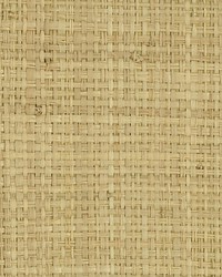 Madagascar Medium Natural by  Scalamandre Wallcoverings 