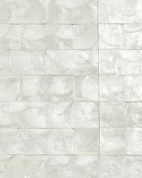 Pearlessence 2x4 Inch Scored White by   