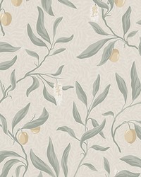 Vinnie Sage Green by  Scalamandre Wallcoverings 