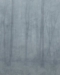 Skog Mural Misty Blue by  Scalamandre Wallcoverings 